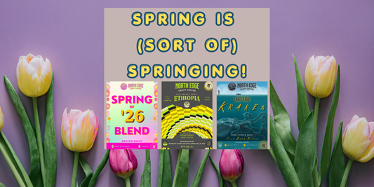 Spring Coffee Collection 2026 | Cold Brew Blend, Ethiopia Guji & Seasonal Favorites