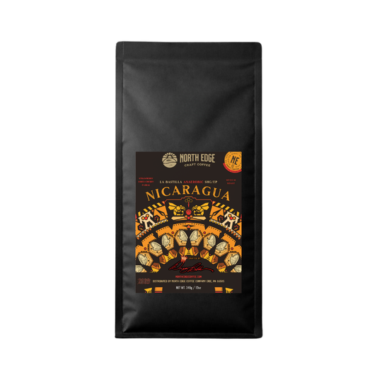 Nicaragua La Bastilla Anaerobic SHG/EP (NEW)
